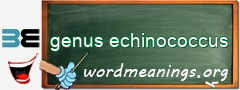 WordMeaning blackboard for genus echinococcus